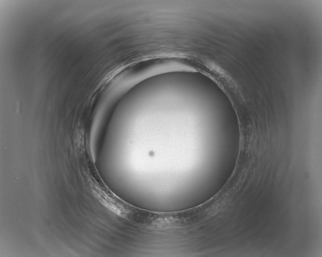 X0000080151169200612081314