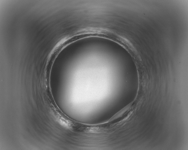 X0000080151172200612081314