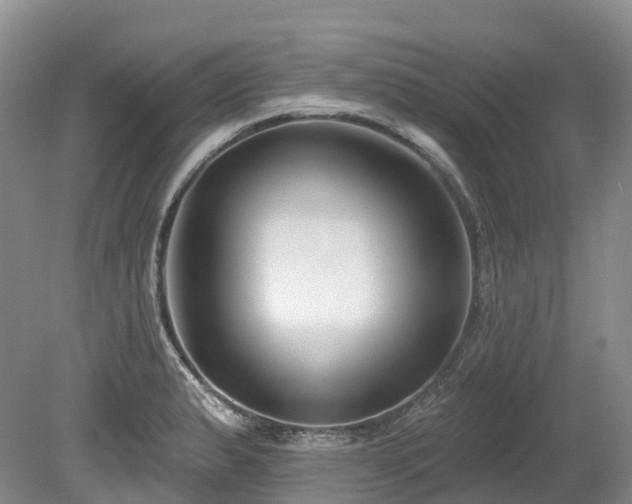 X0000080151183200612081314