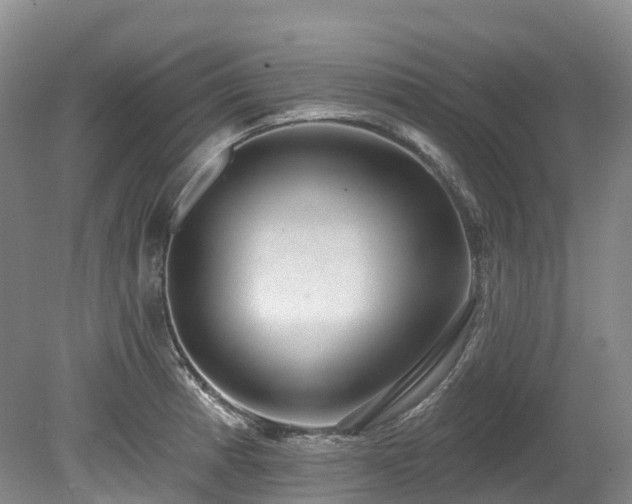 X0000080151185200612081314