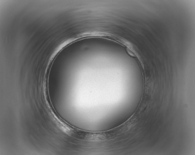 X0000080151187200612081314