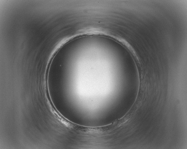 X0000080151191200612081314