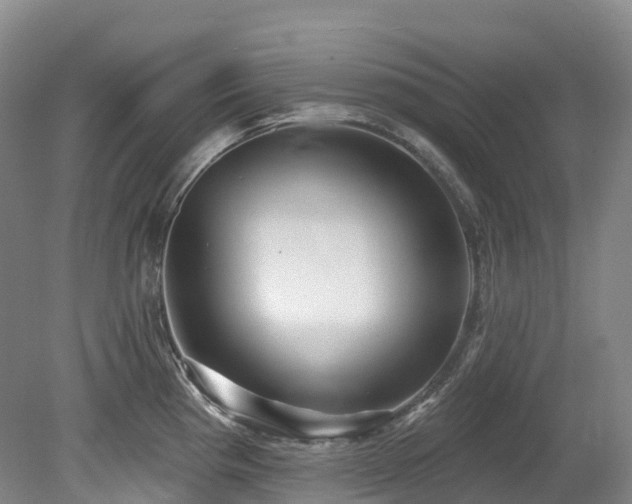 X0000080151193200612081314