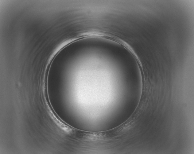 X0000080151195200612081314