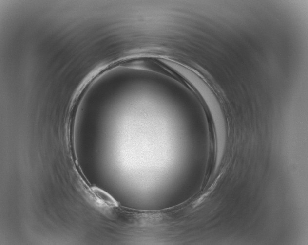 X0000080151196200612081314