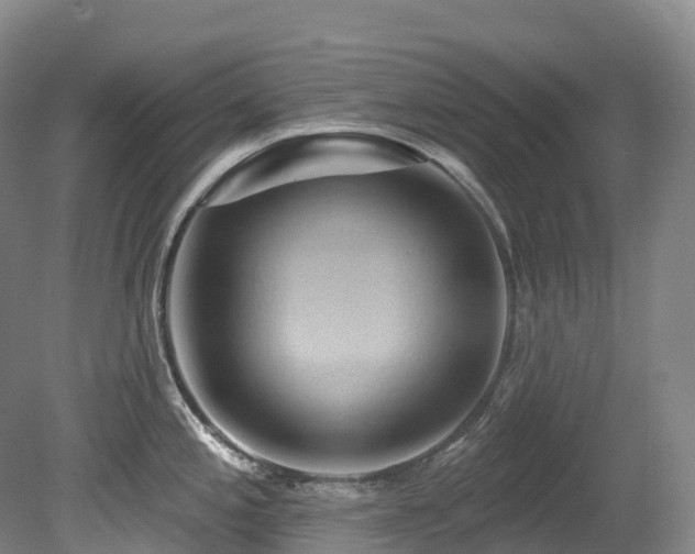 X0000080151197200612081314
