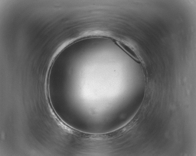 X0000080151199200612081313