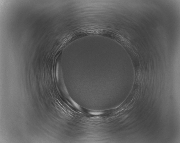 X0000080151202200612081313