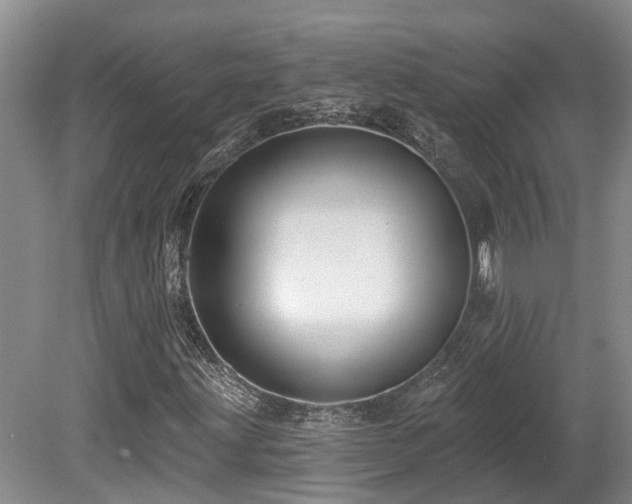 X0000080151203200612081313