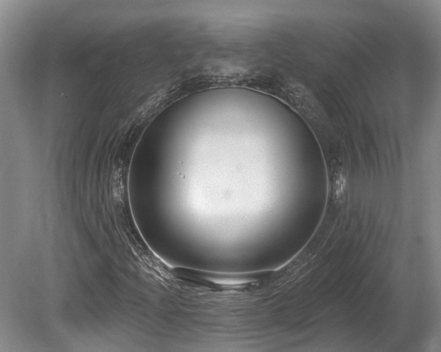 X0000080151204200612081313