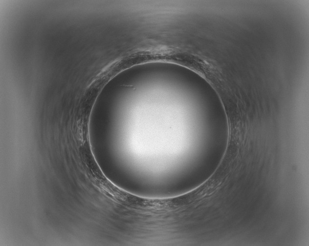 X0000080151205200612081313