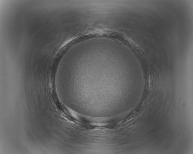 X0000080151206200612081313