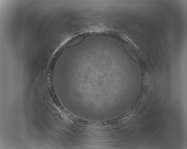 X0000080151208200612081313