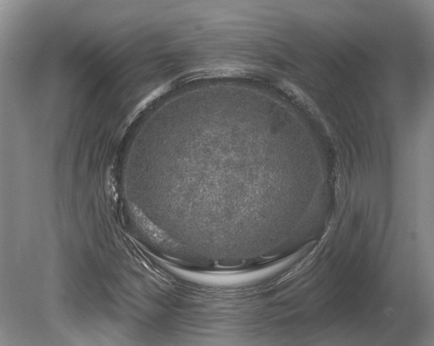 X0000080151210200612081313