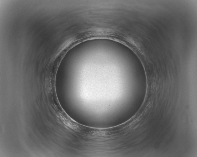 X0000080151211200612081313