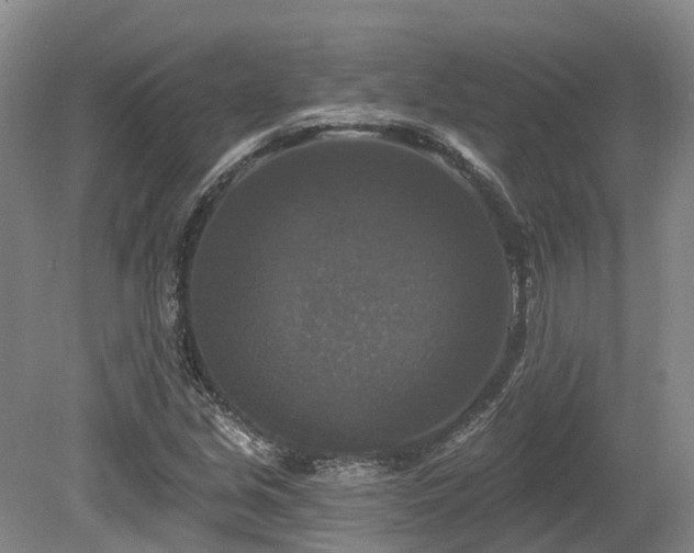 X0000080151213200612081313