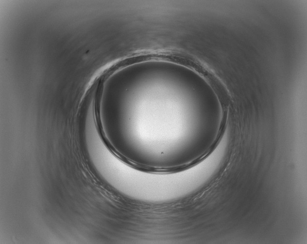 X0000080151214200612081313
