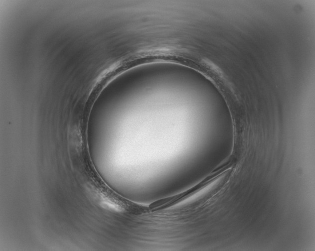 X0000080151218200612081313