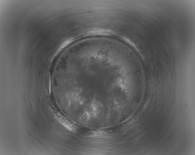 X0000080151219200612081313