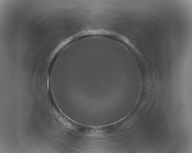 X0000080151221200612081313