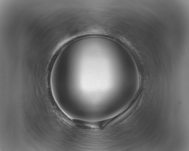 X0000080151222200612081313