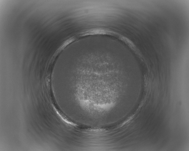 X0000080151225200612081313