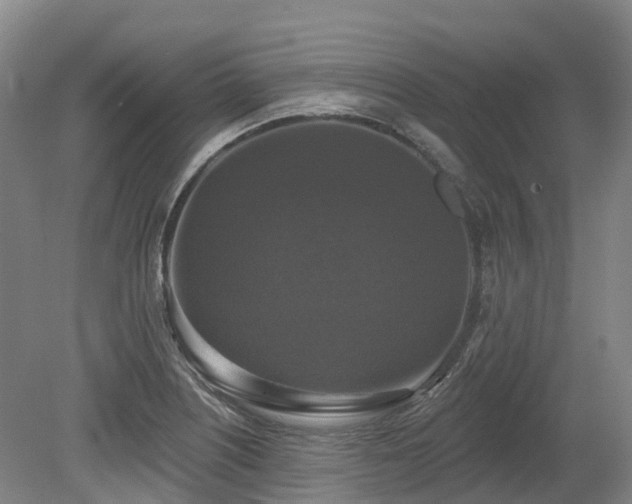 X0000080151226200612081313