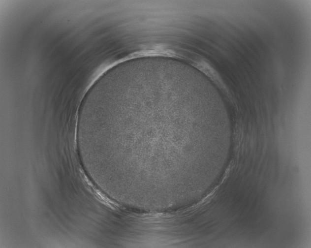 X0000080151228200612081313