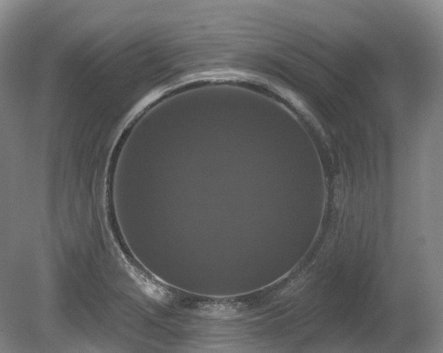 X0000080151229200612081313