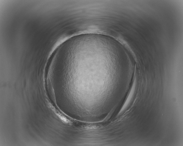 X0000080151230200612081313