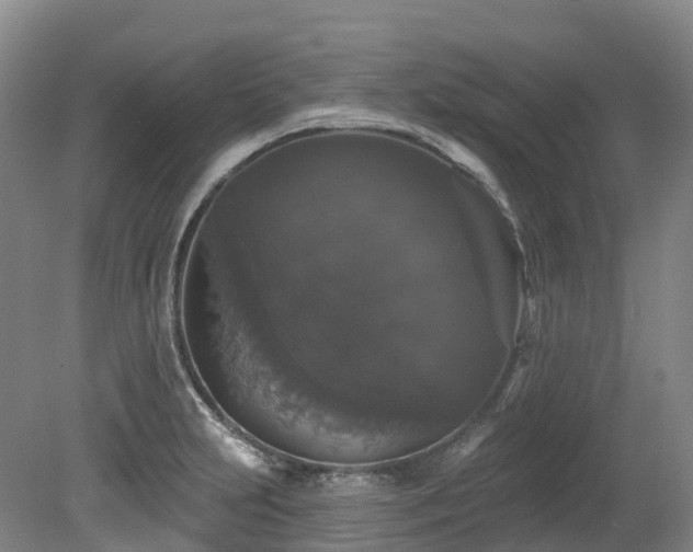 X0000080151231200612081313