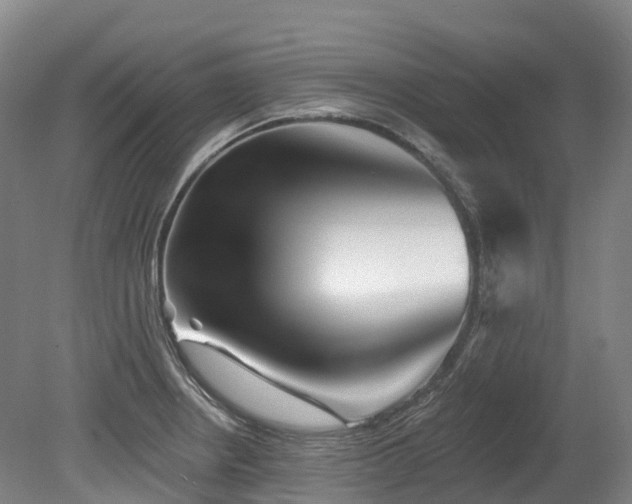 X0000080151234200612081313