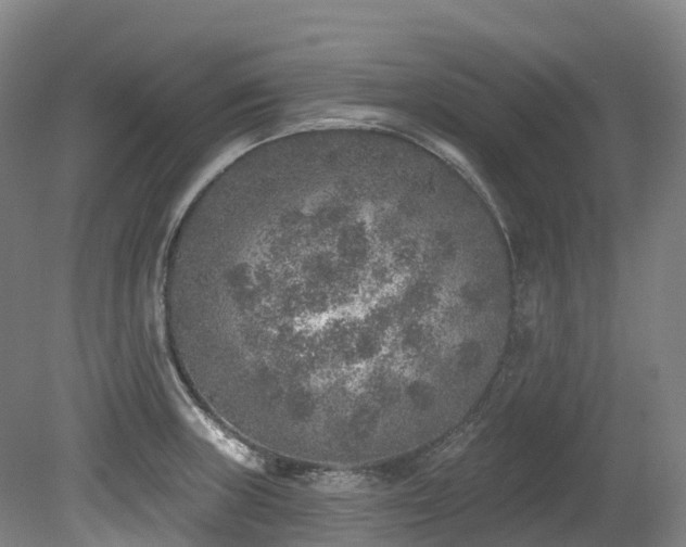 X0000080151235200612081313
