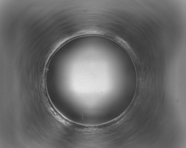 X0000080151236200612081313