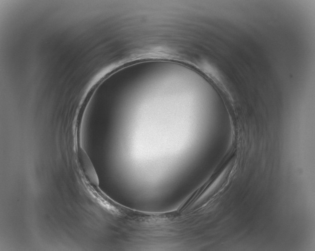 X0000080151238200612081313