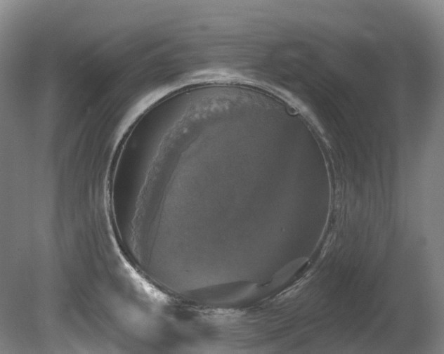 X0000080151239200612081313