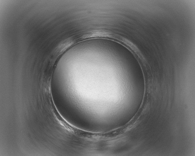 X0000080151241200612081313