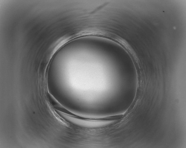 X0000080151242200612081313