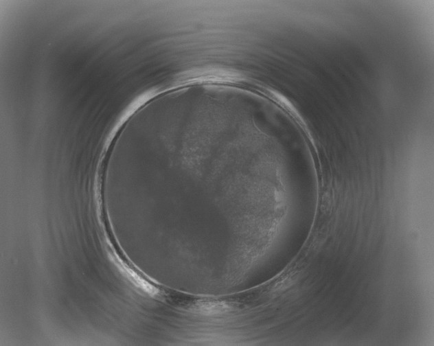 X0000080151243200612081313