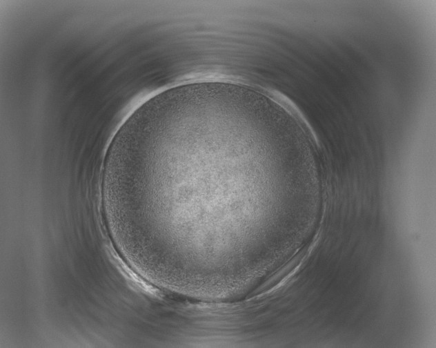 X0000080151244200612081313