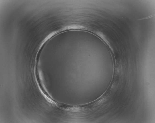 X0000080151245200612081313
