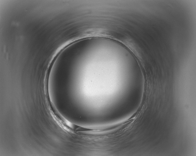 X0000080151246200612081313