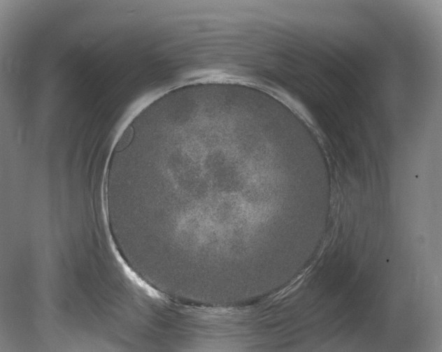 X0000080151247200612081313
