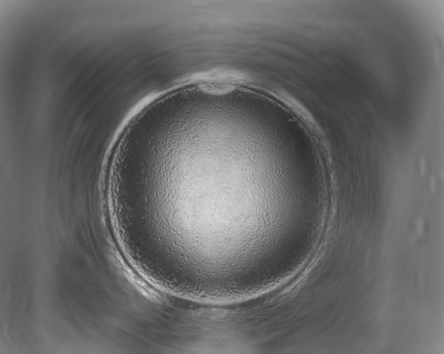 X0000080151248200612081313
