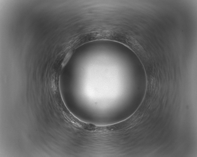 X0000080151250200612081313