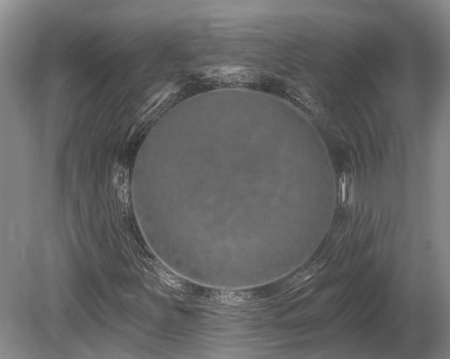 X0000080151251200612081313