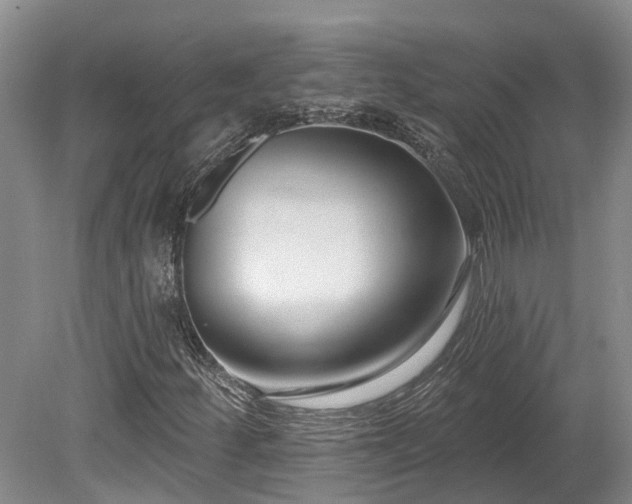 X0000080151252200612081313