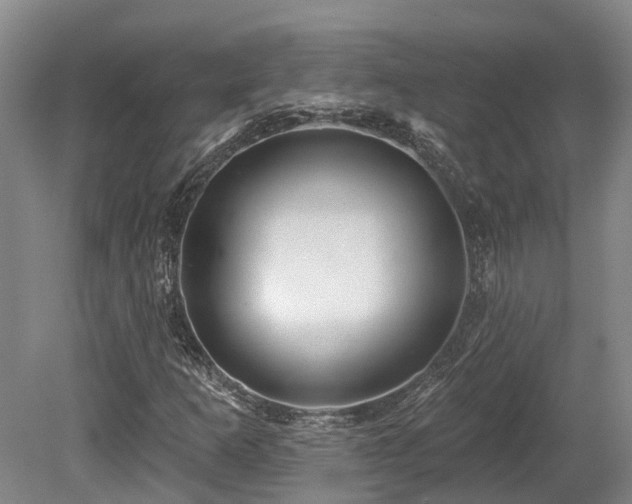 X0000080151253200612081313