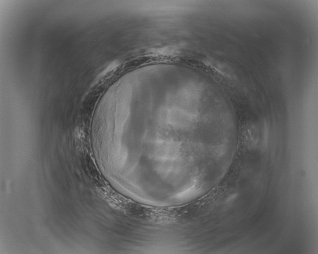 X0000080151254200612081313