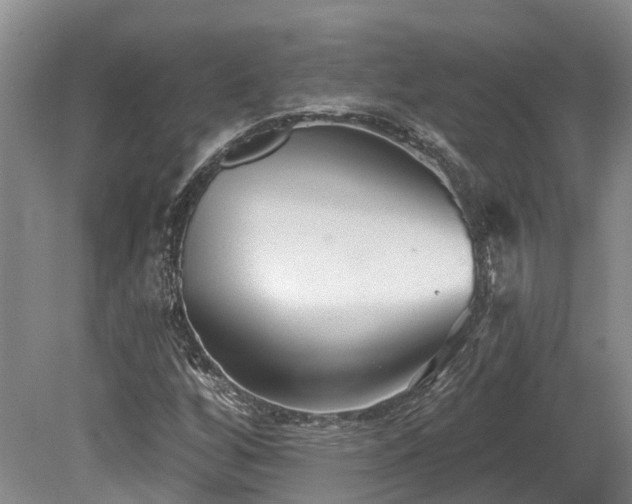 X0000080151256200612081313